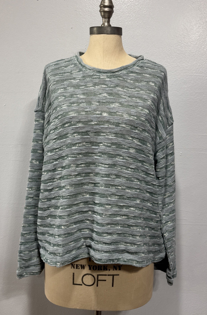 Madewell Crewneck Long-Sleeve Knit Sweater Tee Blue Horizon Stripe Size L Beachy